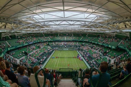 ATP Halle 2023: drabinka, kiedy, nagrody, gdzie oglądać transmisje?