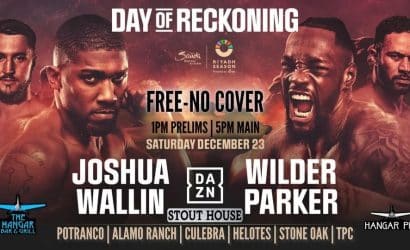 Joshua &ndash; Wallin typy i kursy bukmacherskie (23.12.2023)