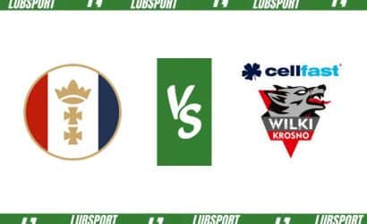 Wybrzeże Gdańsk – Wilki Krosno typy i kursy (14.04.2024)