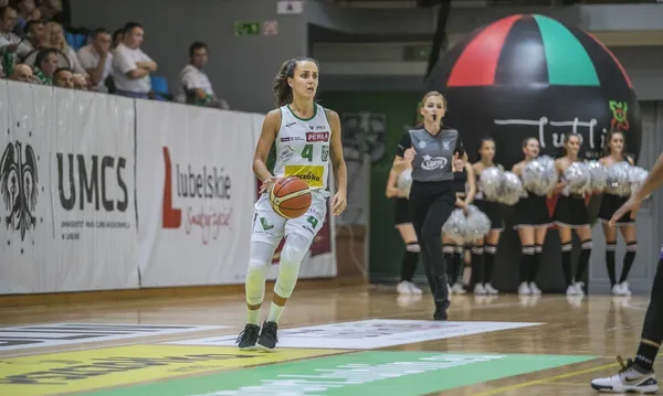 Pszczółki żądlą w Sosnowcu