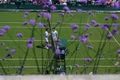 Dramat Hurkacza w 1/8 finału Wimbledonu!