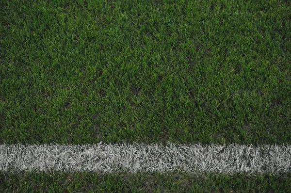 Huragan wypunktował Unię