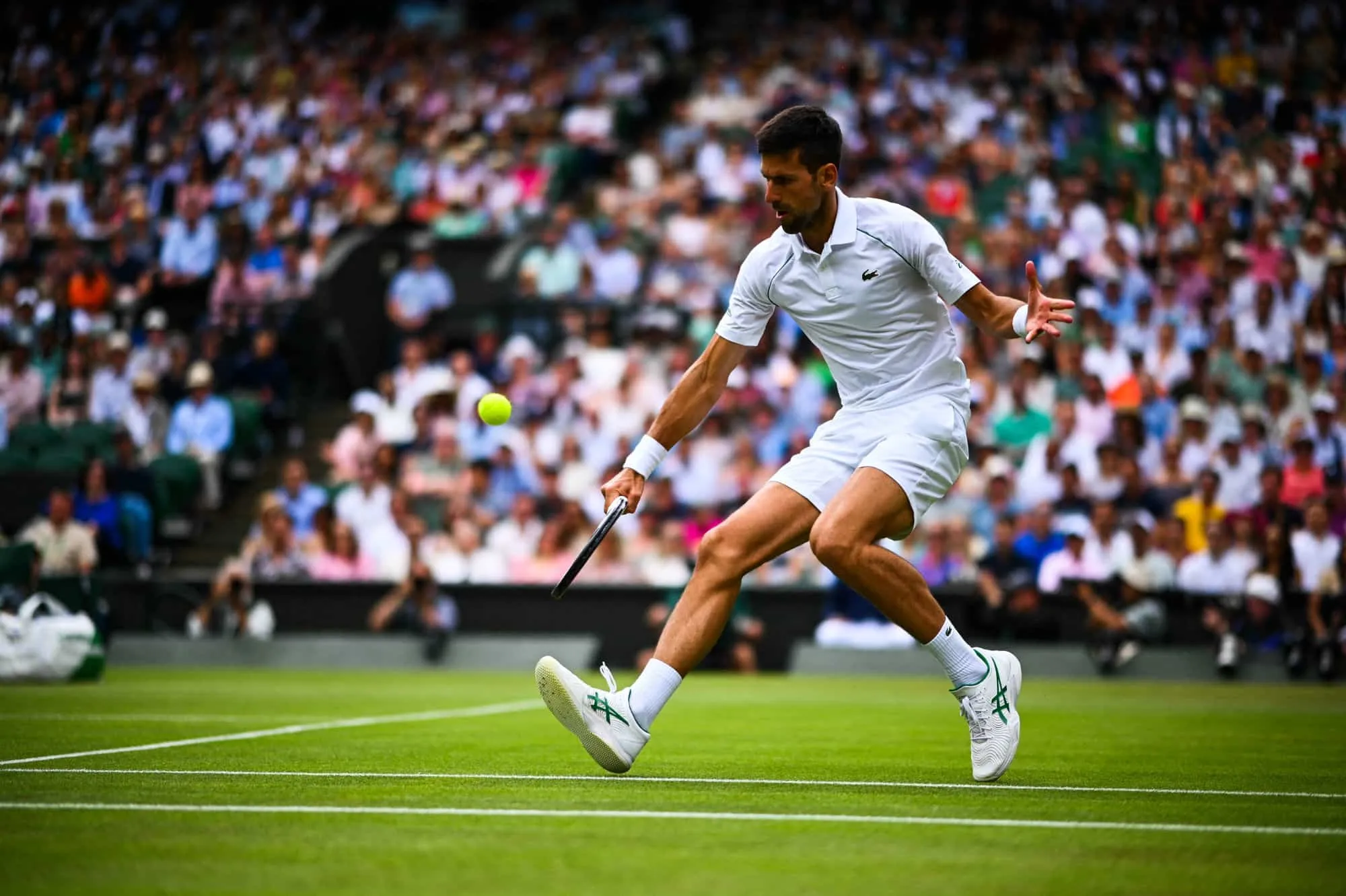 Wimbledon 2022 półfinały: kiedy, kto gra? Kto jest faworytem?