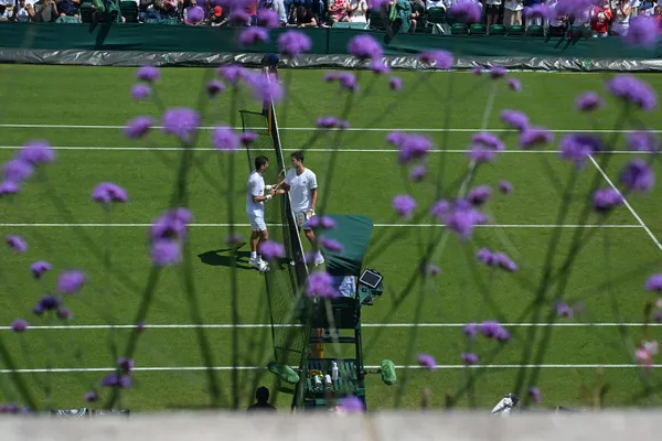 Dramat Hurkacza w 1/8 finału Wimbledonu!