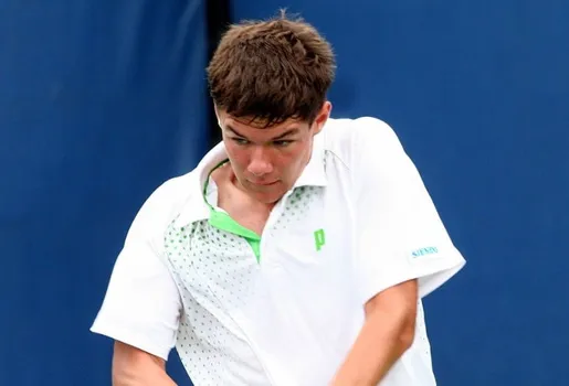 majchrzak bedene typy