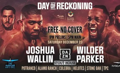 Joshua – Wallin typy i kursy bukmacherskie (23.12.2023)