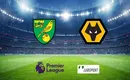 Norwich – Wolves typy, kursy, przewidywania 27/11/2021