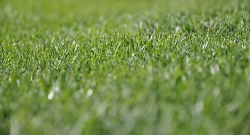 Zadecydował jeden błąd. Podlasie lepsze od Orląt Łuków