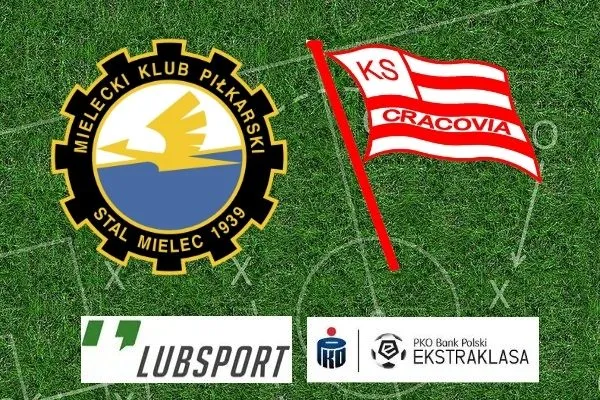 stal mielec cracovia typy