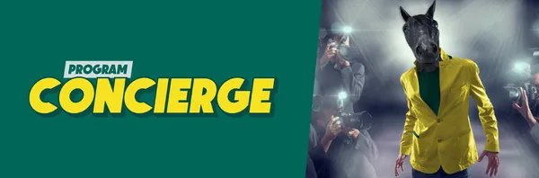 Betfan promocje