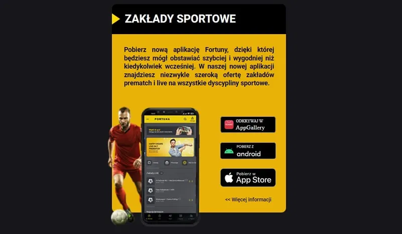 aplikacja fortuna opinie