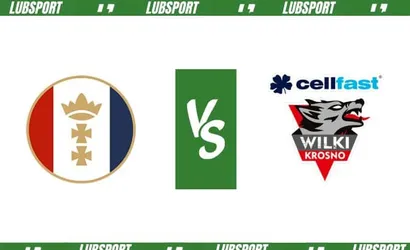 Wybrzeże Gdańsk – Wilki Krosno typy i kursy (14.04.2024)