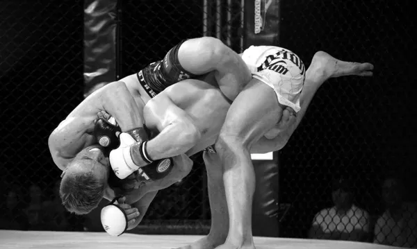 W Puławach odbyła się gala mieszanych sztuk walki