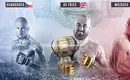 KSW 79 PPV: Gdzie oglądać? Czy będzie stream online za darmo?