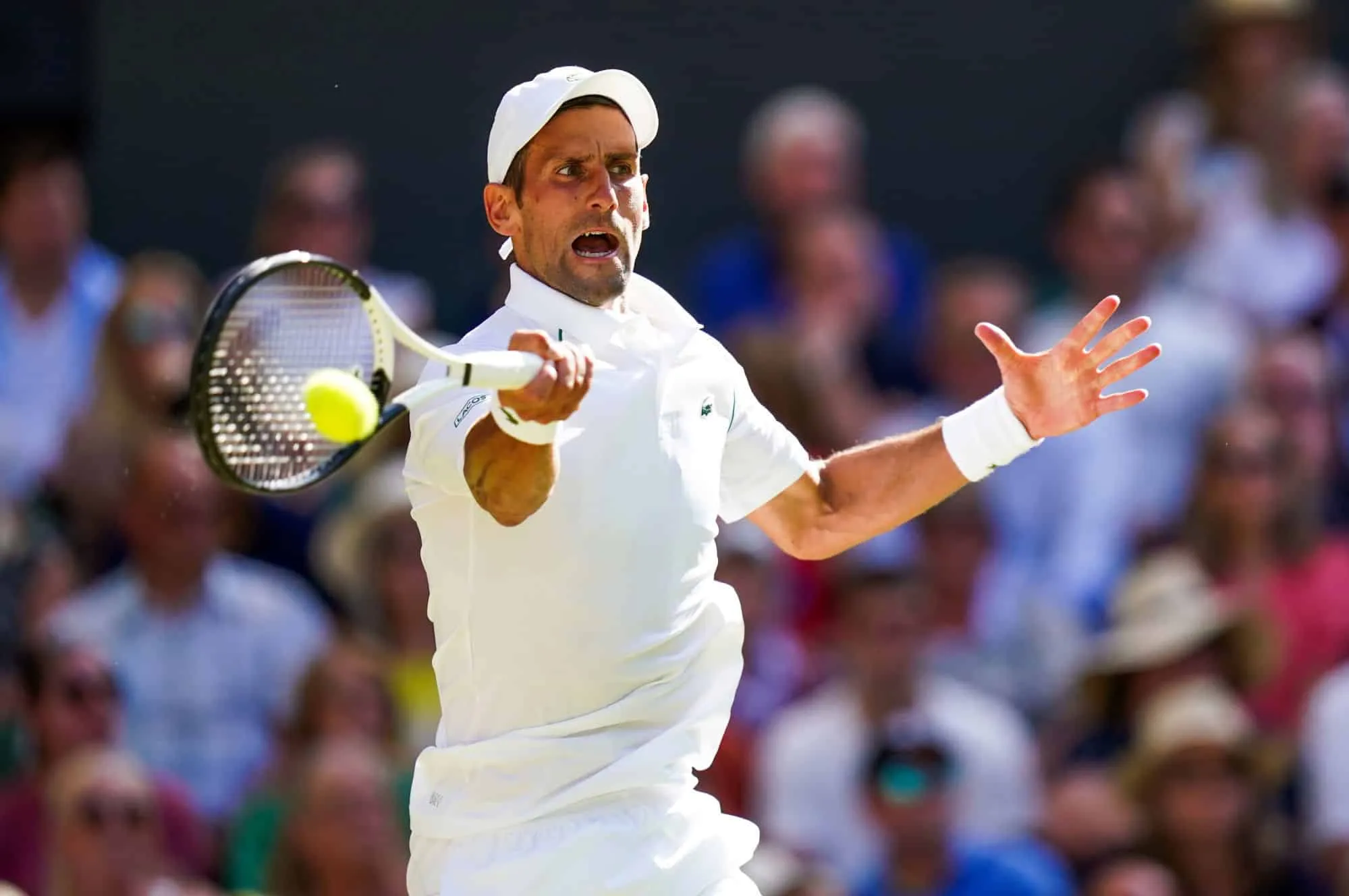 ATP Wimbledon 2022 finał: Djoković – Kyrgios, kiedy, o której, gdzie obejrzeć?