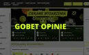 GoBet Opinie 2025: Czy to dobry bukmacher?