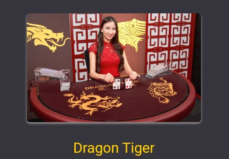 Dragon Tiger fortuna