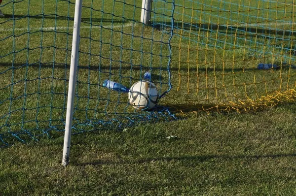 Włodawianka znalazła patent na Unię