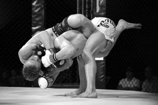 W Puławach odbyła się gala mieszanych sztuk walki