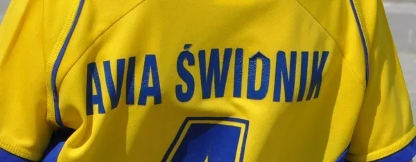 Kadra Avii Świdnik na rundę jesienną sezonu 2016/2017