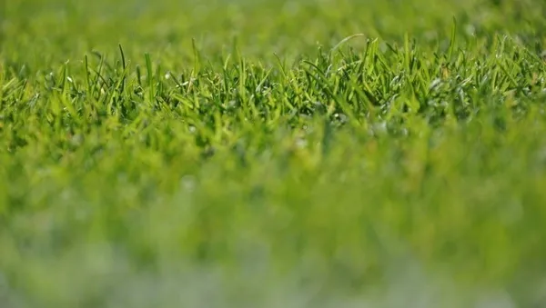 Nieoceniona pomoc pierwszego zespołu Górnika Łęczna w meczu z Unią Hrubieszów