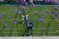 Dramat Hurkacza w 1/8 finału Wimbledonu!