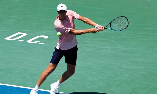 hurkacz mannarino typy