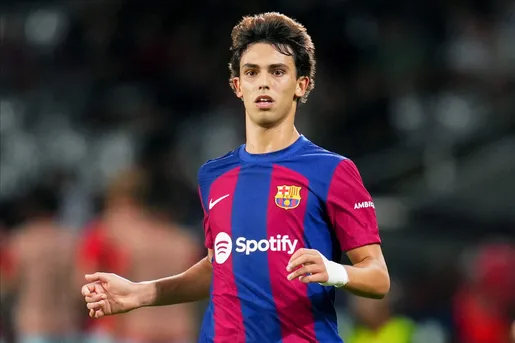 Typy dnia (22.10.2023)