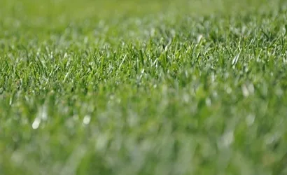 Zadecydował jeden błąd. Podlasie lepsze od Orląt Łuków