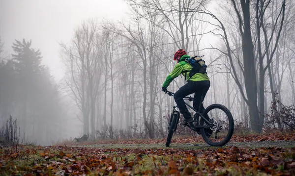 Rodzaje oświetlenia rowerowego – co wybrać na zimę?