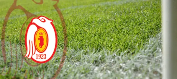 Orlęta Łuków wystartowały!