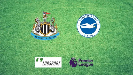 newcastle brighton typy