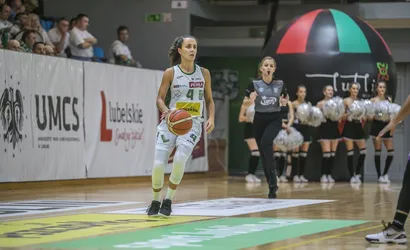 Pszczółki żądlą w Sosnowcu