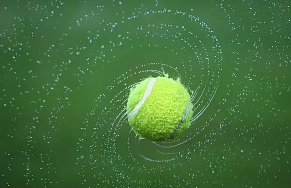 Najlepsi polscy tenisiści w historii i osiągane sukcesy