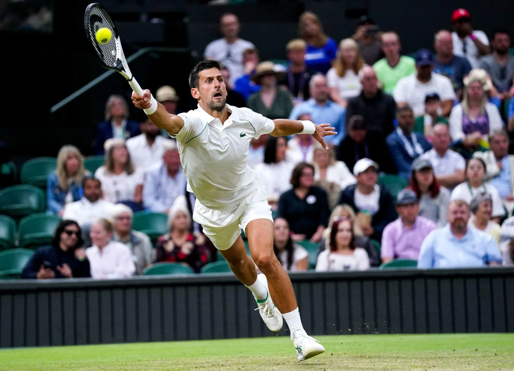 Djoković – Sinner typy, kursy i zakłady bukmacherskie (Wimbledon 2022)